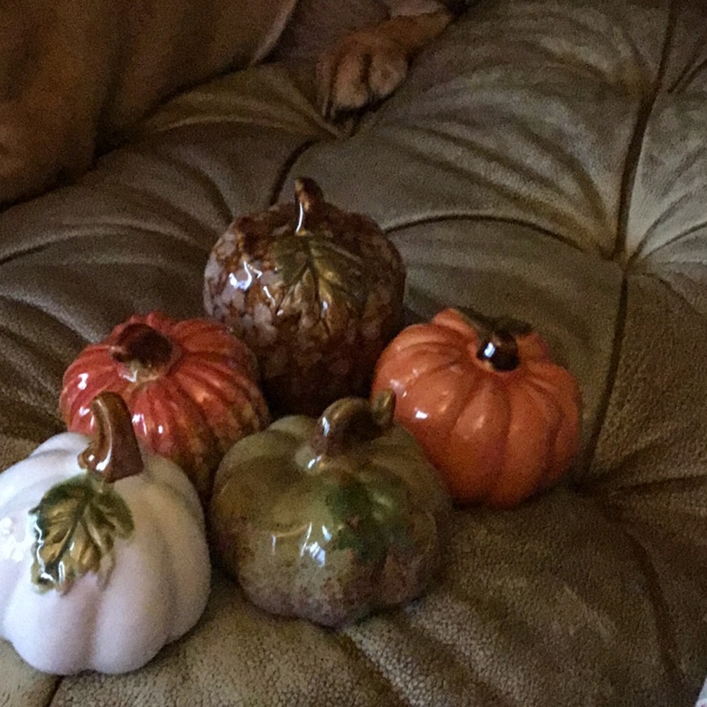 Ceramic Pumpkin Set - Orange, White, Green, Brown